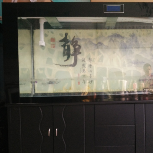 鋼琴、魚缸專運(yùn)現(xiàn)場(chǎng)